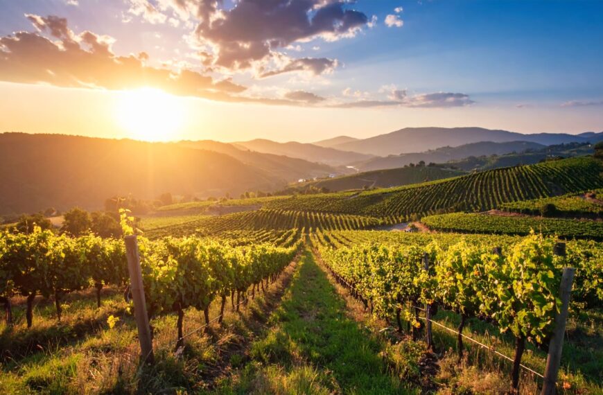Upper SEMO Wine Trail